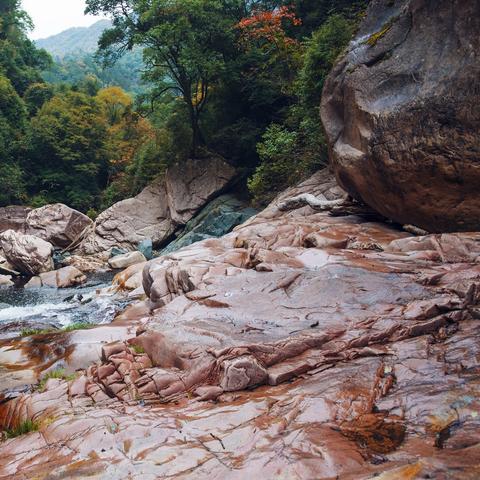 (小鸟怎么飞翔)如何让热爱飞翔的小鸟多赚取金币？