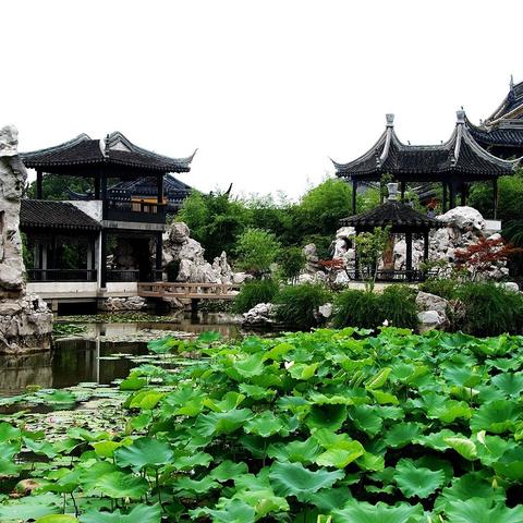 江南首富模拟器免广告不减反增：打造奢华帝国，畅享豪华生活！