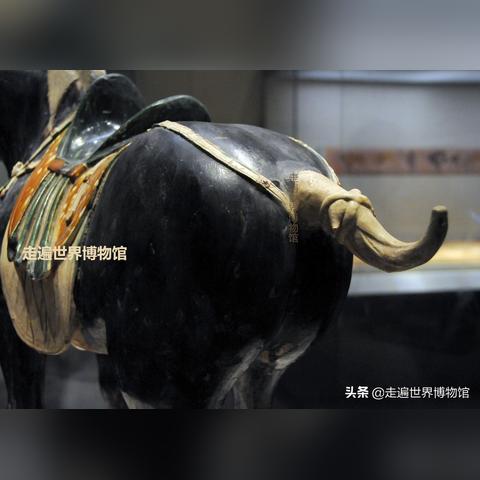 在穿越火线手游中使用外挂的风险与影响：揭开背后不为人知的真相