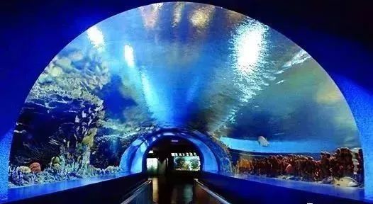 探寻无昼之海攻略:探险海底神秘世界,解锁隐藏秘密,潜心探索无尽奇迹! 探寻无昼之海攻略:探险海底神秘世界,解锁隐藏秘密,潜心探索无尽奇迹!