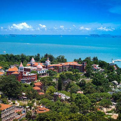 植物大联盟官方网站:专为植物爱好者打造的在线天堂和交流平台 植物大联盟官方网站:专为植物爱好者打造的在线天堂和交流平台