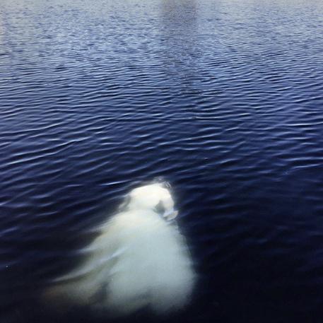 鬼影镇详细攻略：揭秘神秘小镇的隐藏秘密与探险技巧，助你顺利通关