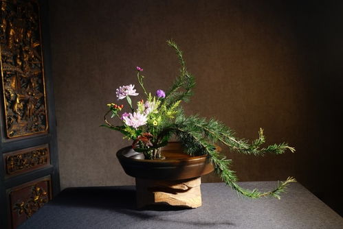 桃源深处有人家菊花育种配方,揭秘古老奇迹般的花艺传承与技术创新 桃源深处有人家菊花育种配方,揭秘古老奇迹般的花艺传承与技术创新