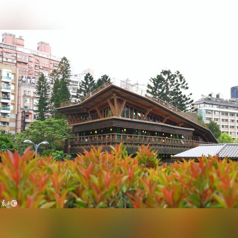 (梦幻旅涂破解版)探寻梦幻旅涂官方的奇幻世界，开启你的创意之旅与色彩冒险