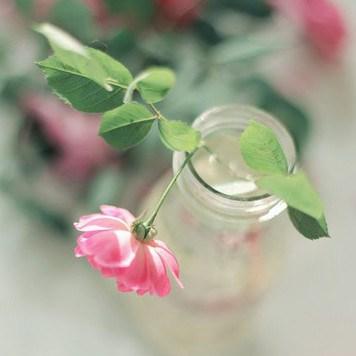 (晚安森林晚安湖泊)睡前必备：晚安森林最新版本更新，带来更多精彩惊喜与改进！