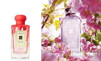 探索花香与香水的奇妙结合：如何用猫四色六神调配出独特的香氛体验