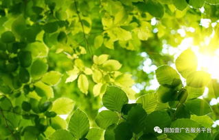 精美电脑高清桌面壁纸推荐,助力护眼与提升工作效率,让你的电脑焕然一新! 精美电脑高清桌面壁纸推荐,助力护眼与提升工作效率,让你的电脑焕然一新!