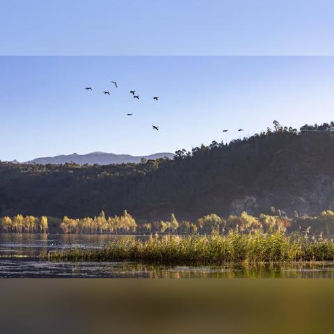 (小鸟多久刷新)小鸟爱飞翔的奇观:多少级激活才能真正领悟 (小鸟多久刷新)小鸟爱飞翔的奇观:多少级激活才能真正领悟