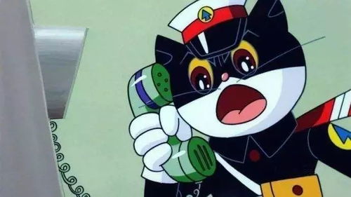 黑猫警长里西塔惊艳出镜，穿上泳装露出性感曲线，网友疯狂点赞！