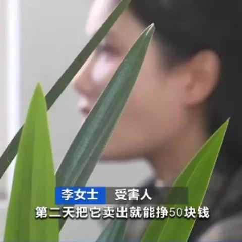 (反转×反转)探秘《反转21克》：揭晓所有主要演员的精彩演绎与角色分析